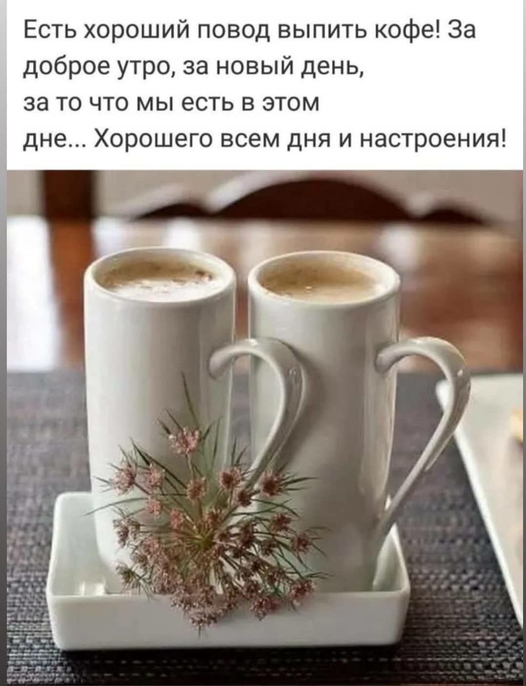 Красивые высказывания о кофе