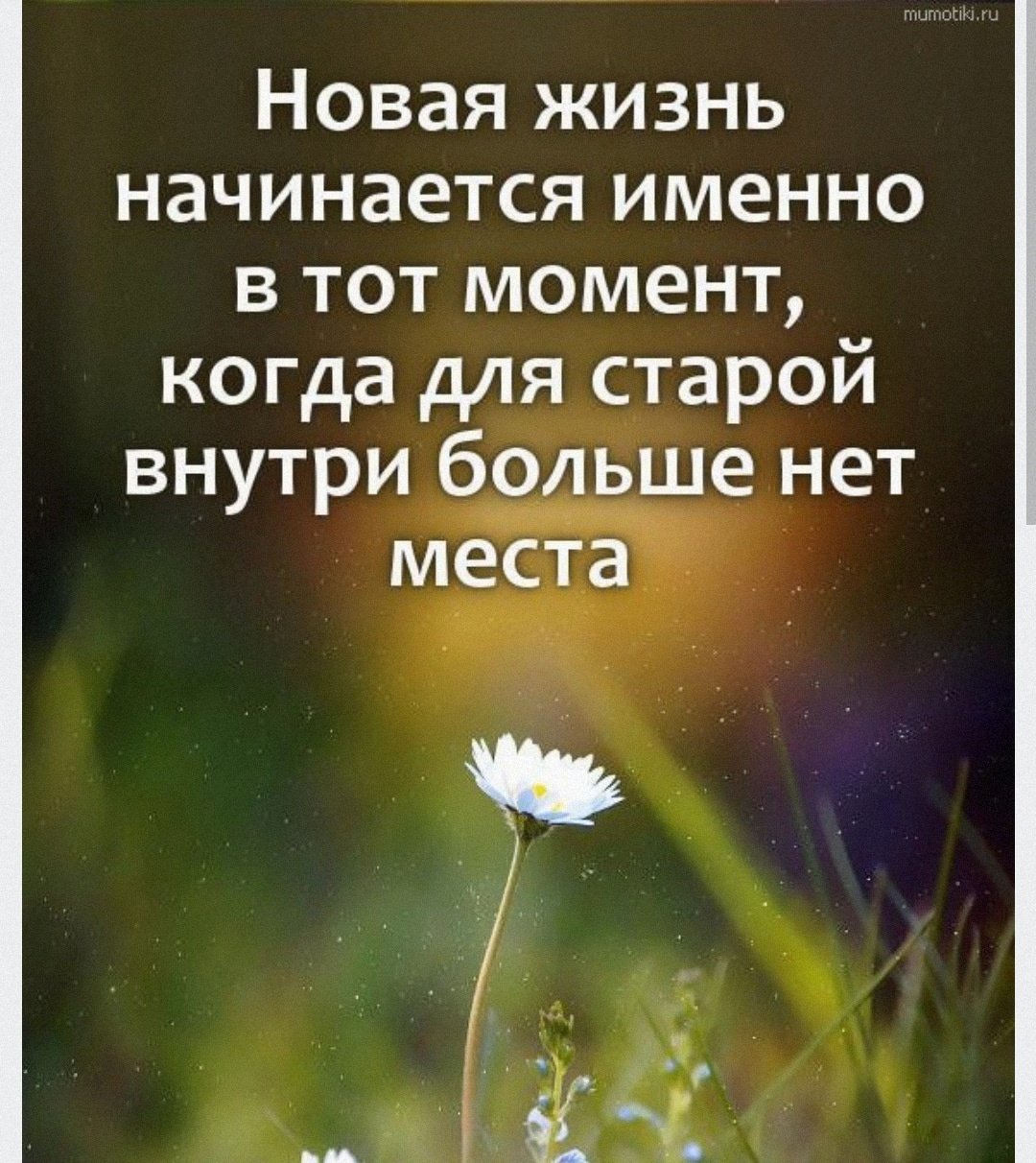 Начало новой жизни цитаты