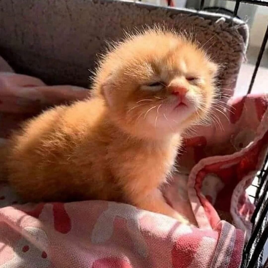 Солнце позитивное