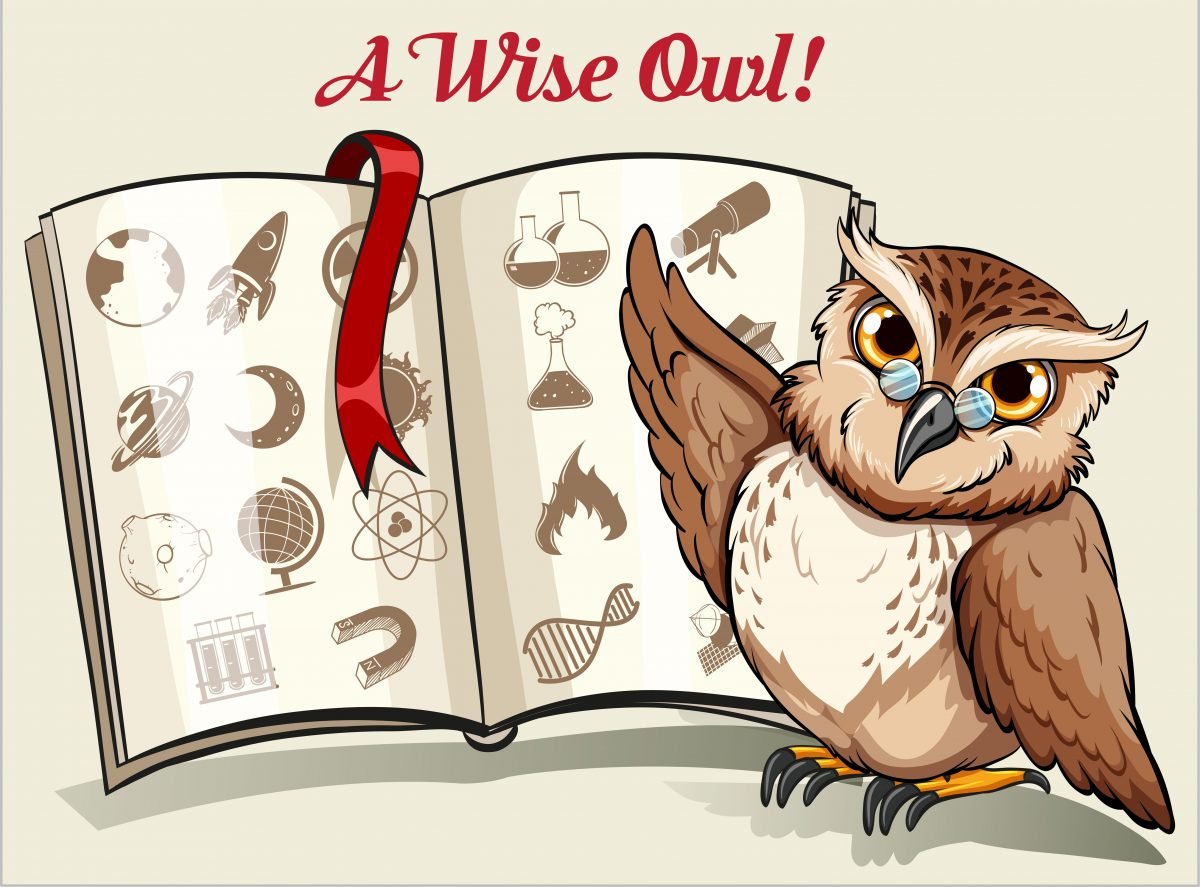 Мудрая Сова