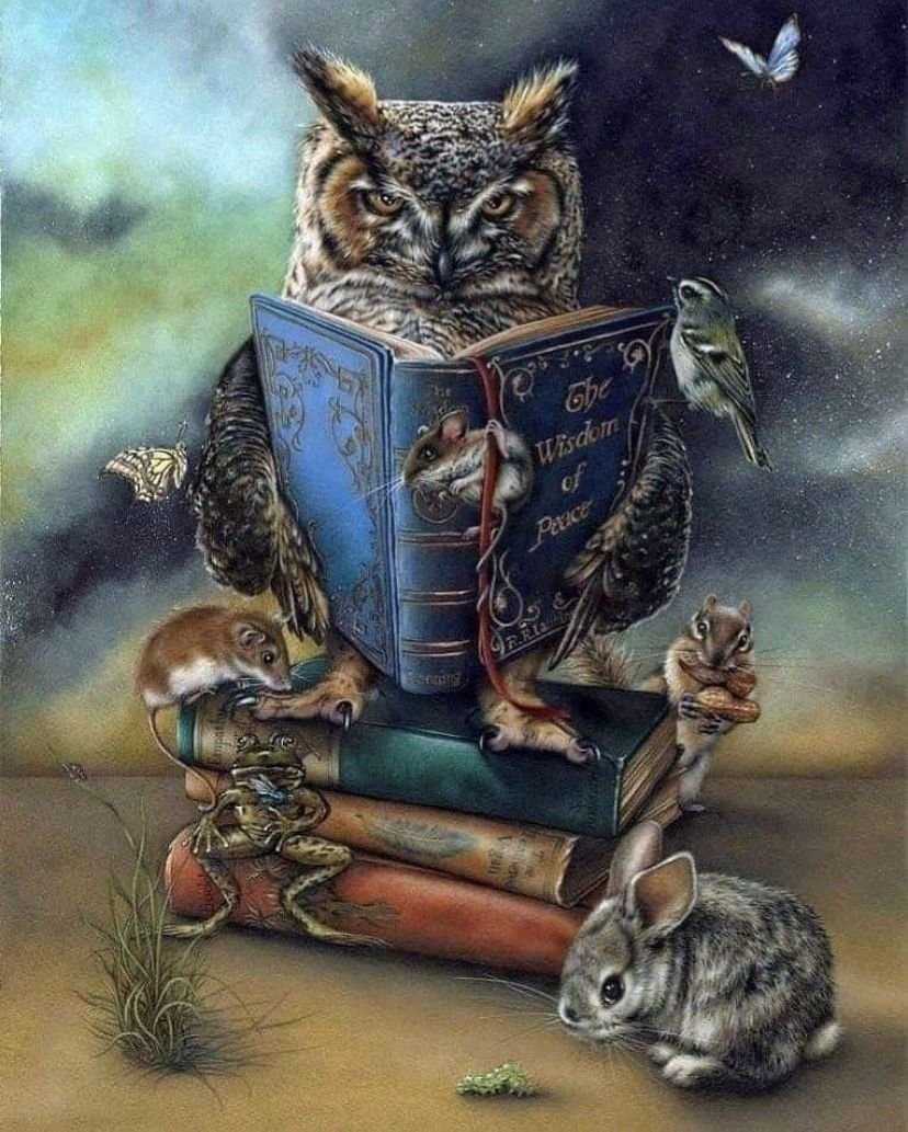 Сова в очках