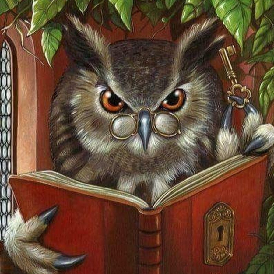 Мудрая Сова