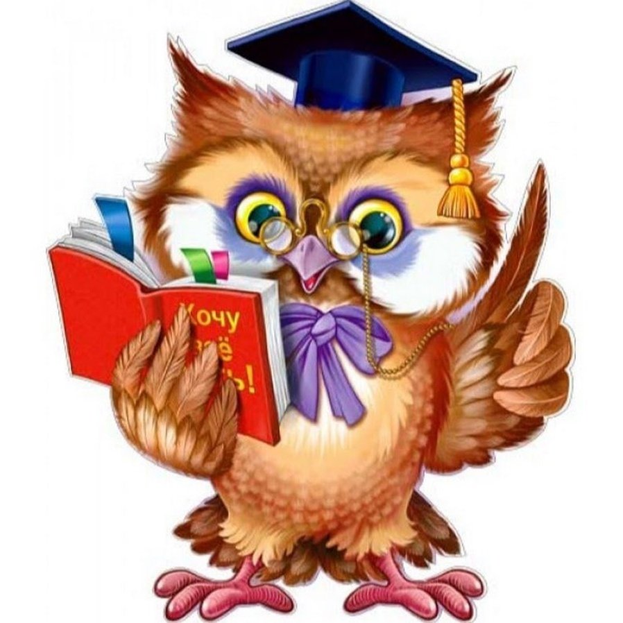 Совушка школа на белом фоне