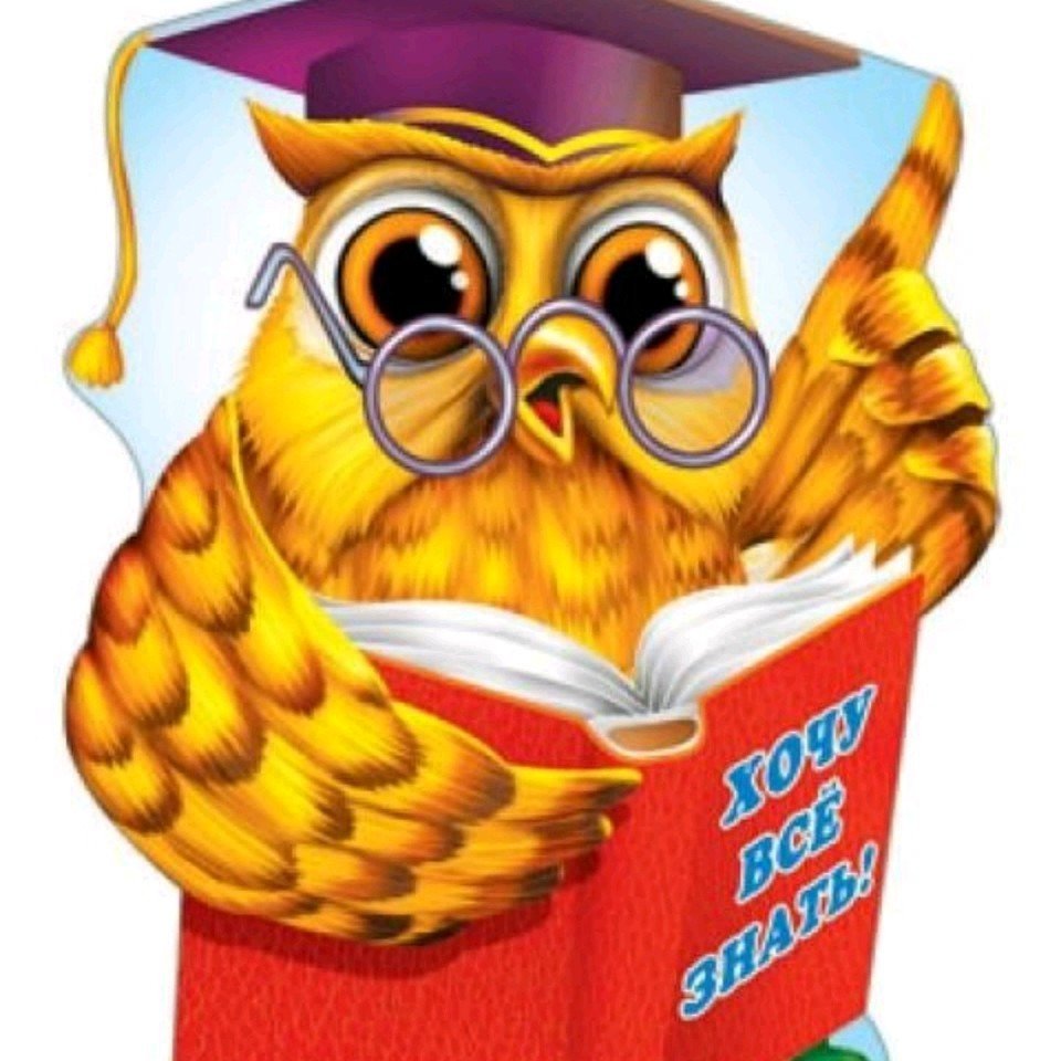 Мудрая Сова