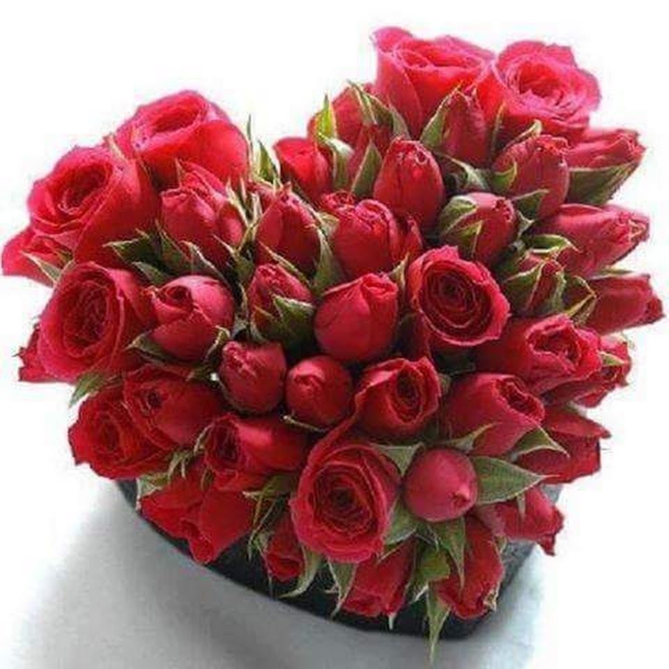 Поздравления с днём рождения Тамаре