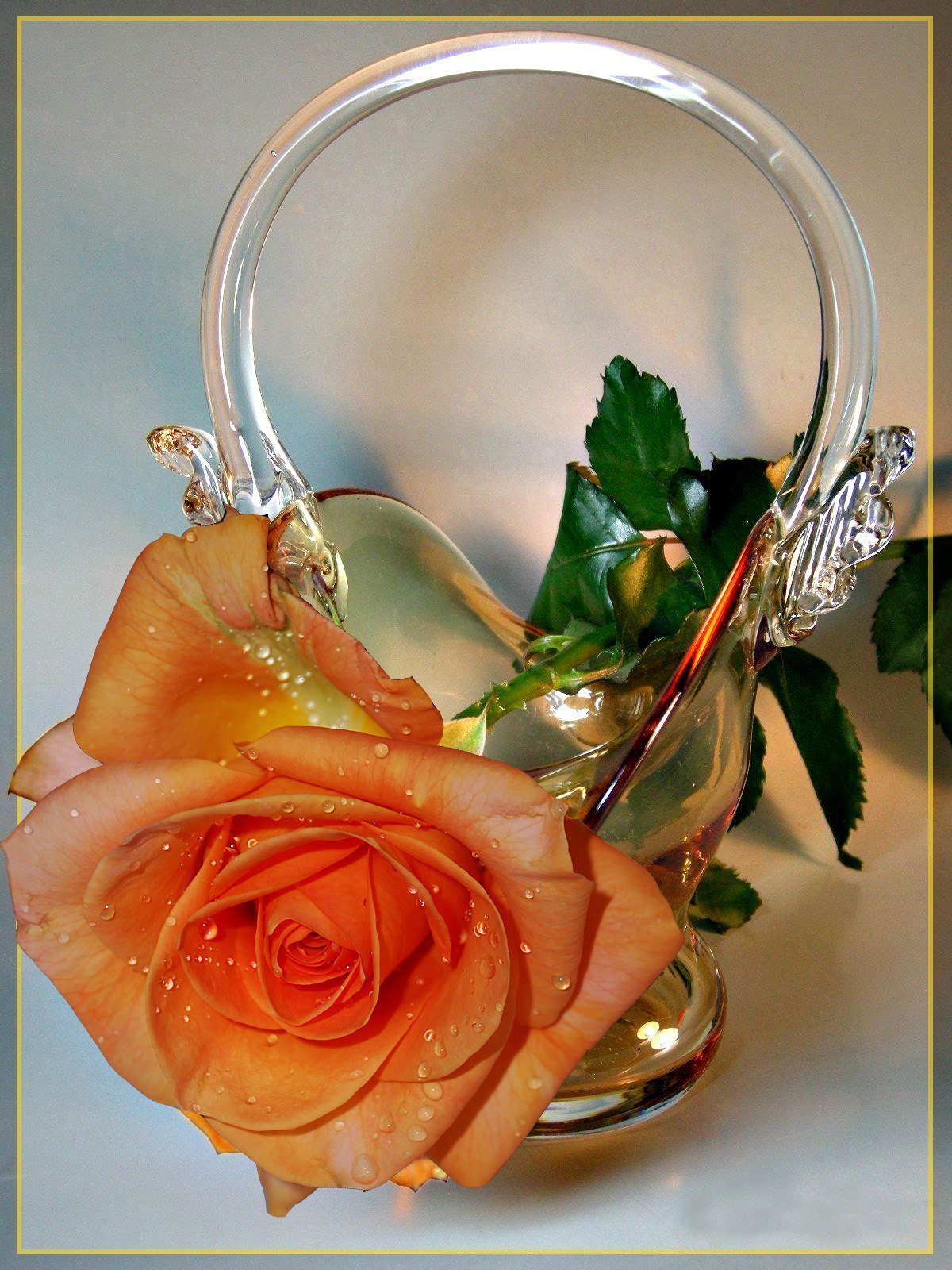 Корзина цветов с пожеланиями