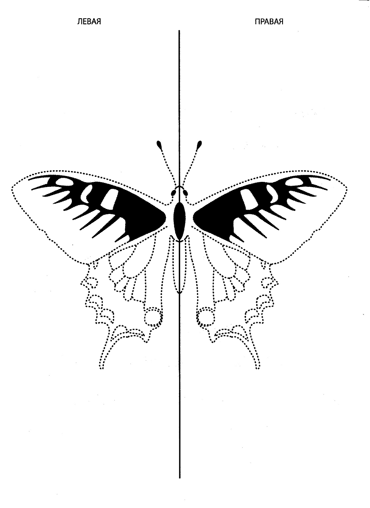 Осевая симметрия рисунки