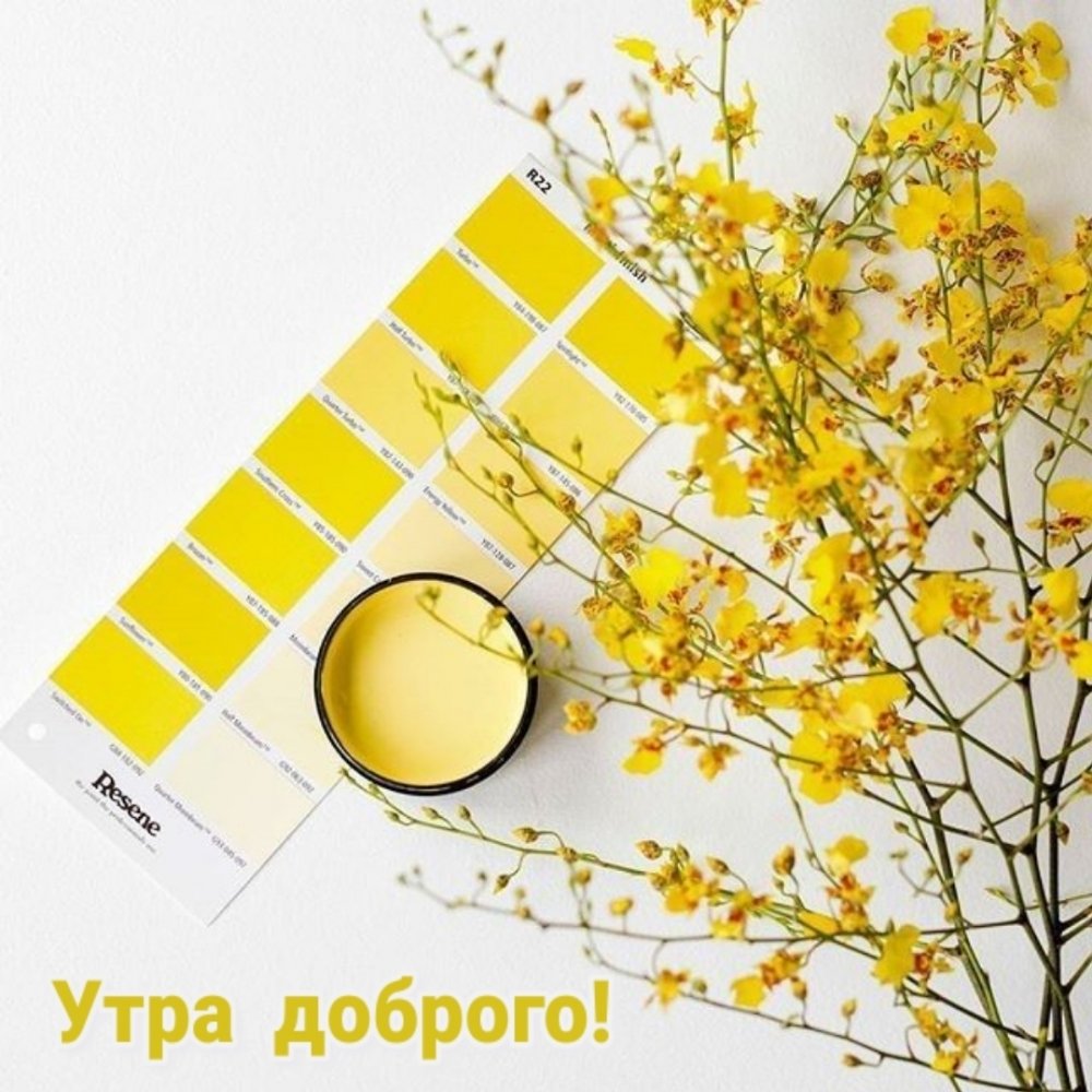 Эстетика жёлтого и белого