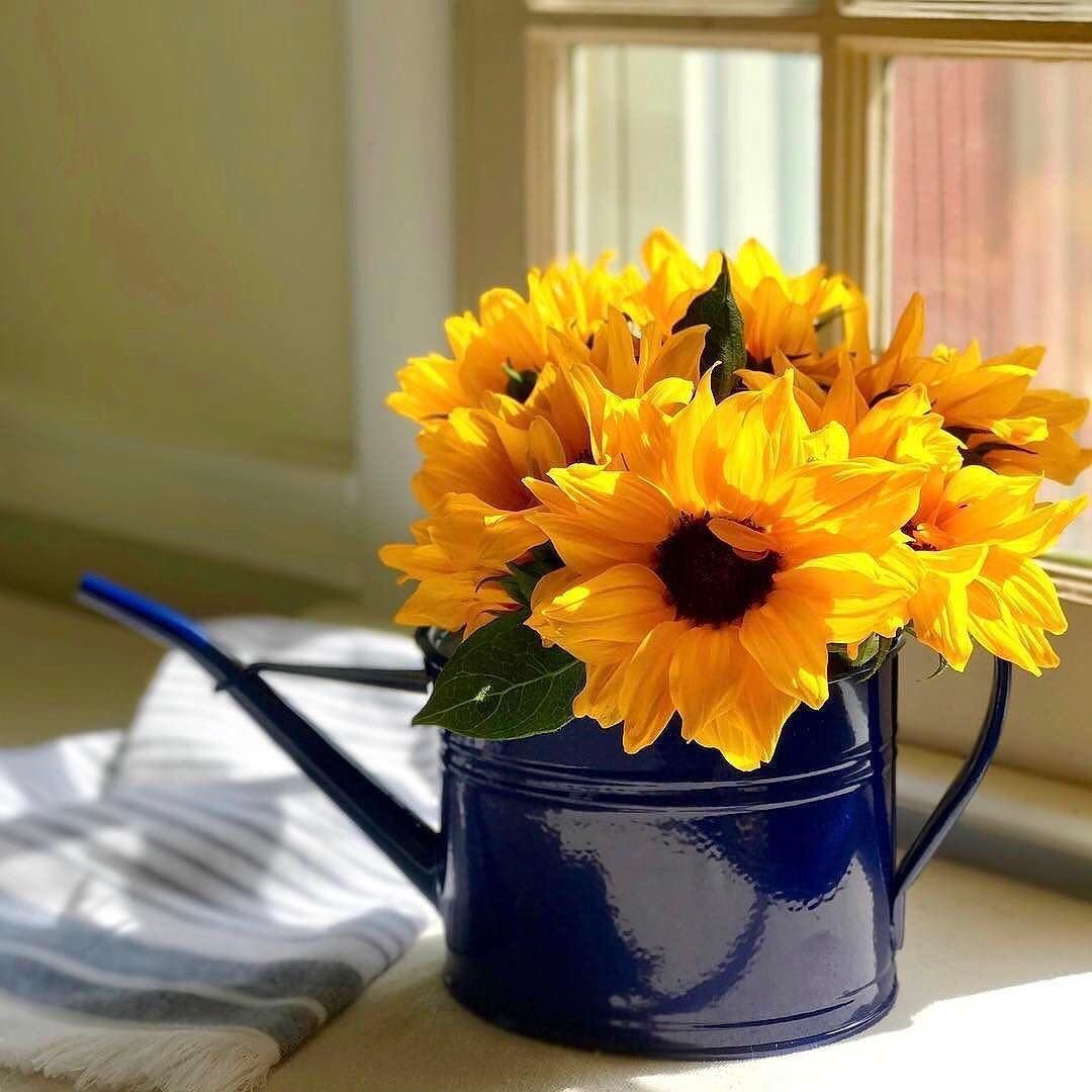 Доброе утро желтое