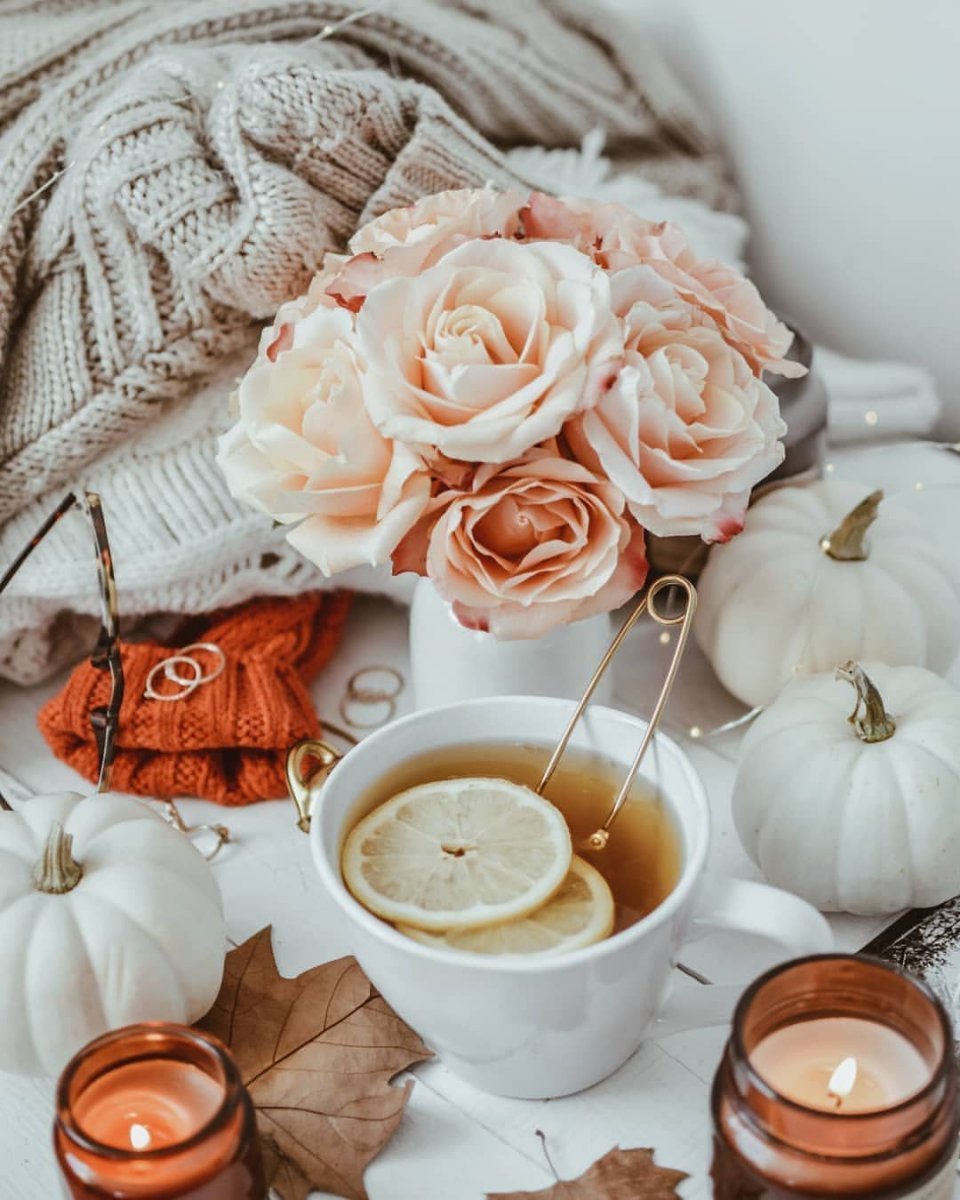 Стильные уютные цветы