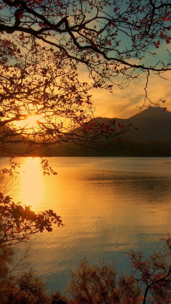 Пейзажи природы