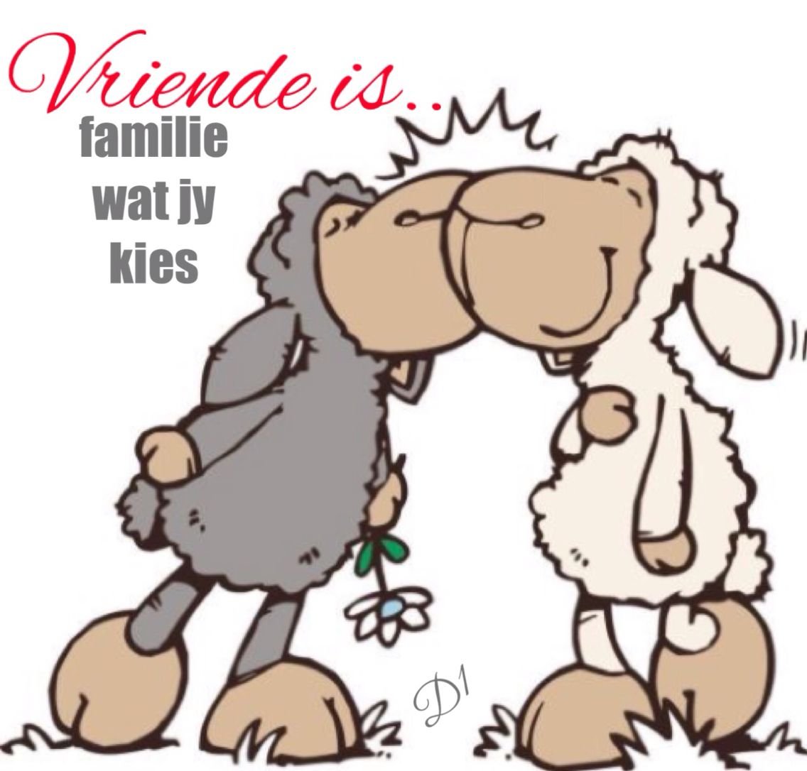 Барашек для детей