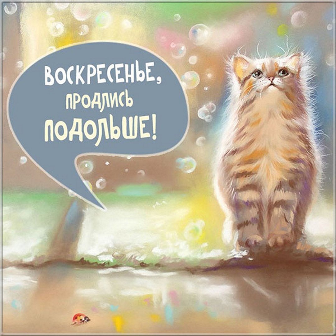 Открытки с добрым утром воскресенья