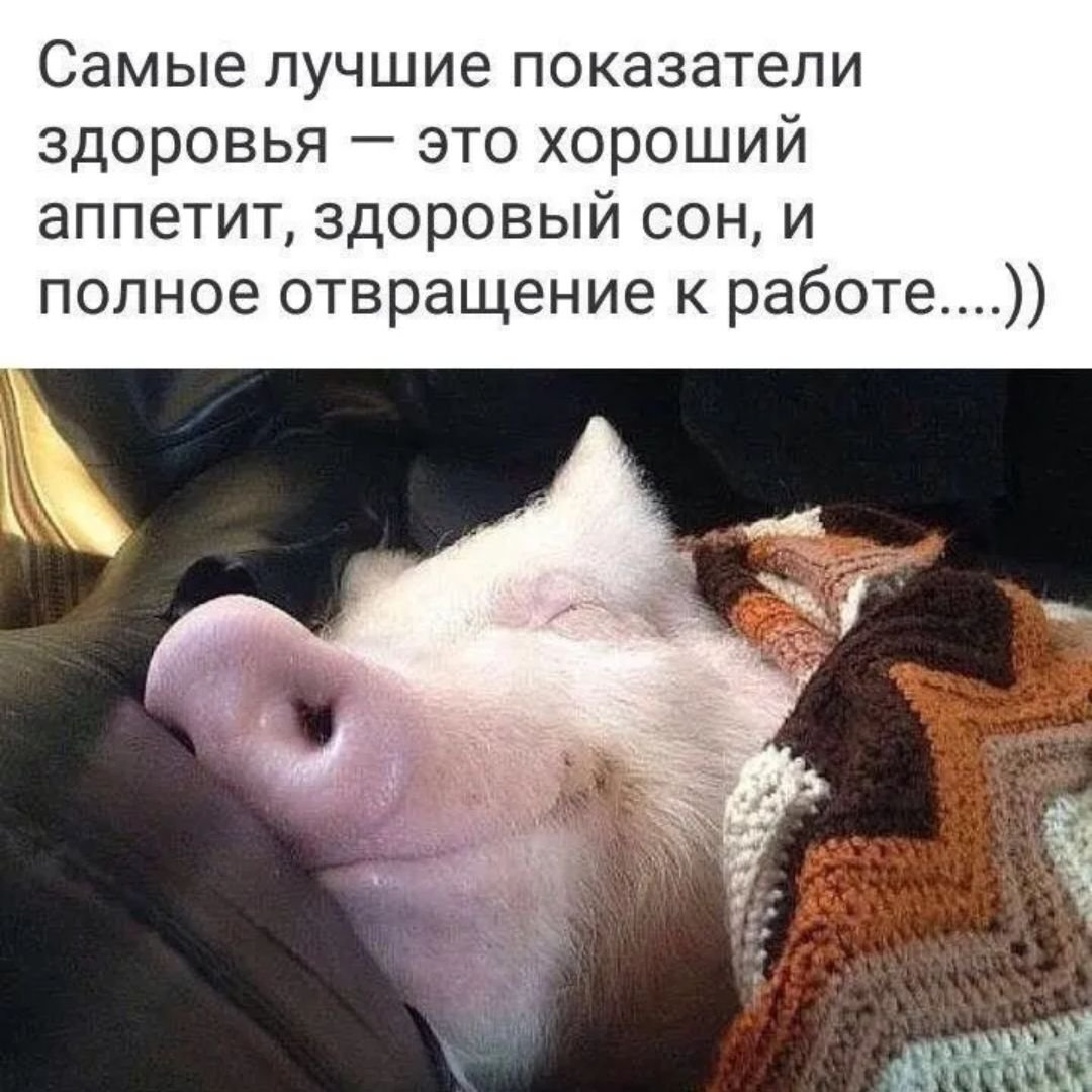 Приколы про сон