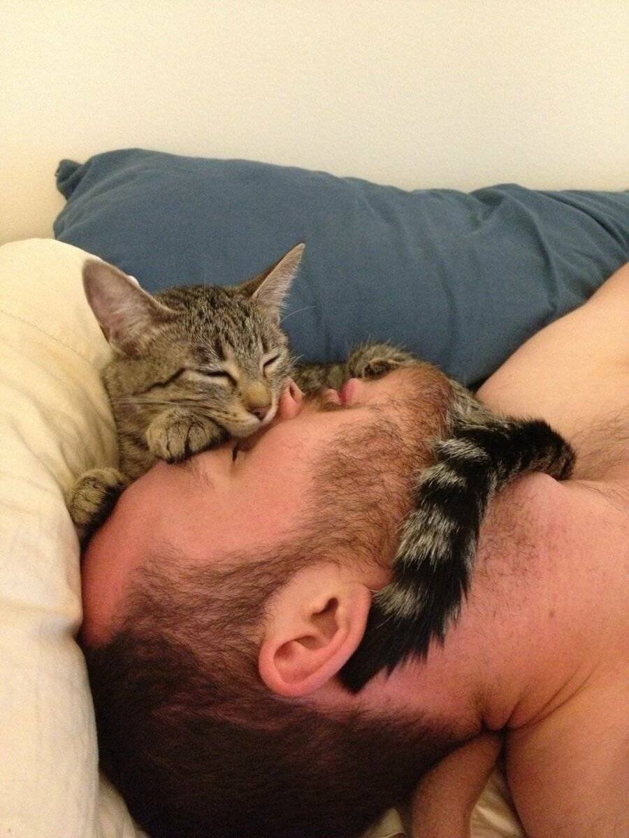 Мужчина спит с котом