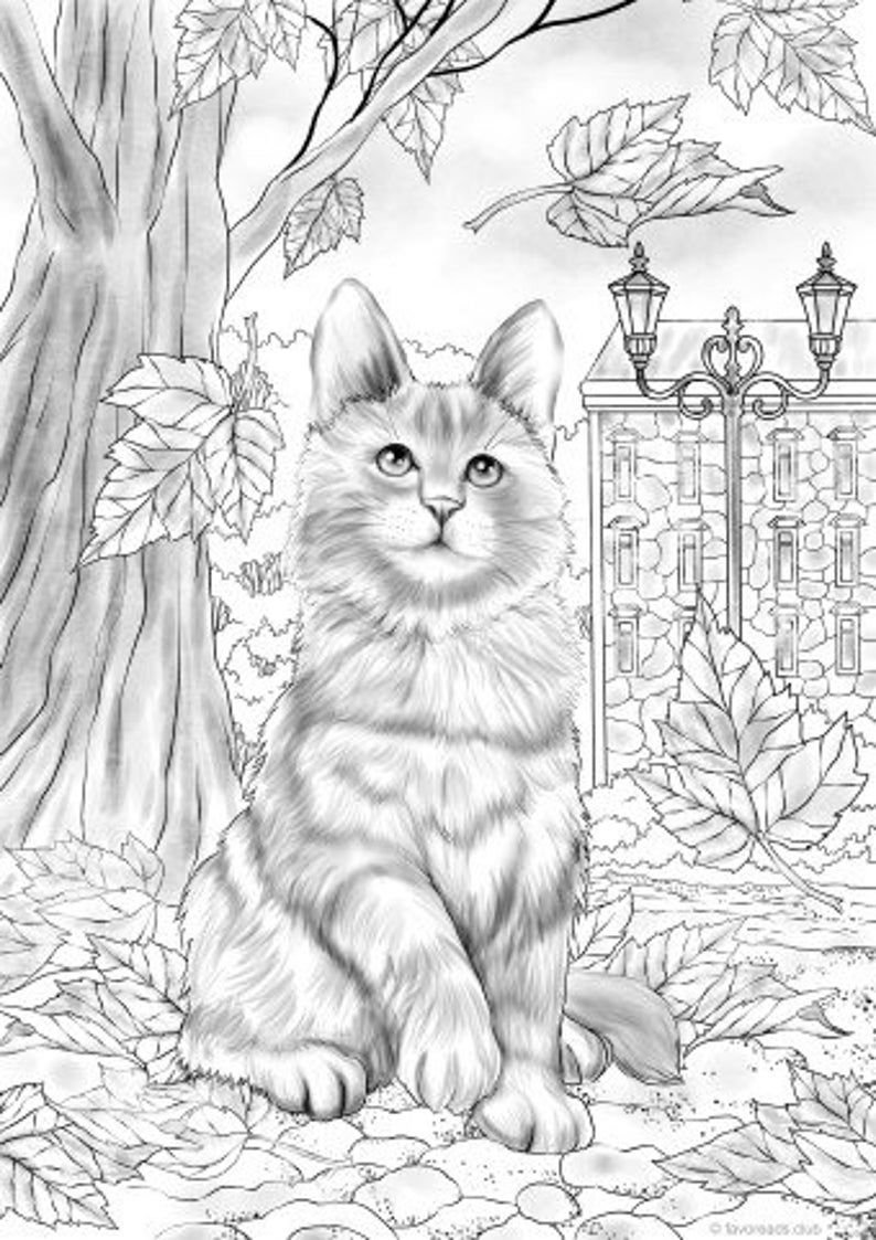 Раскраска котенок с цветами