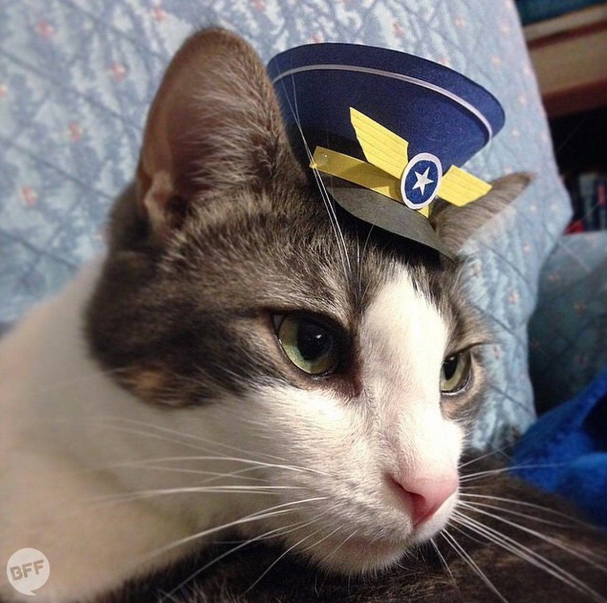 Вася Ложкин