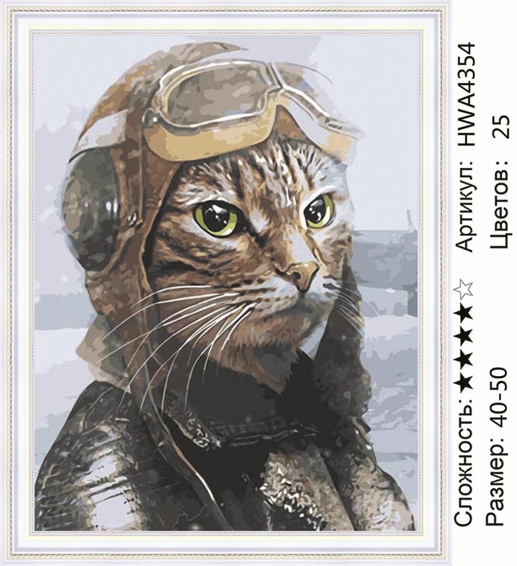 Боевой кот в каске