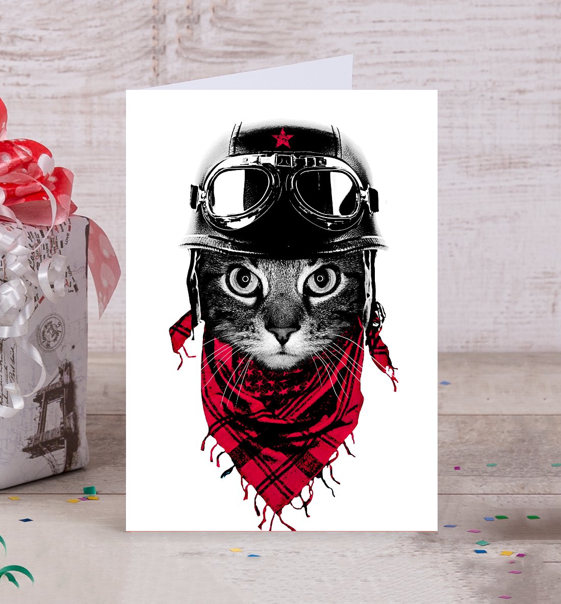 Кот в каске