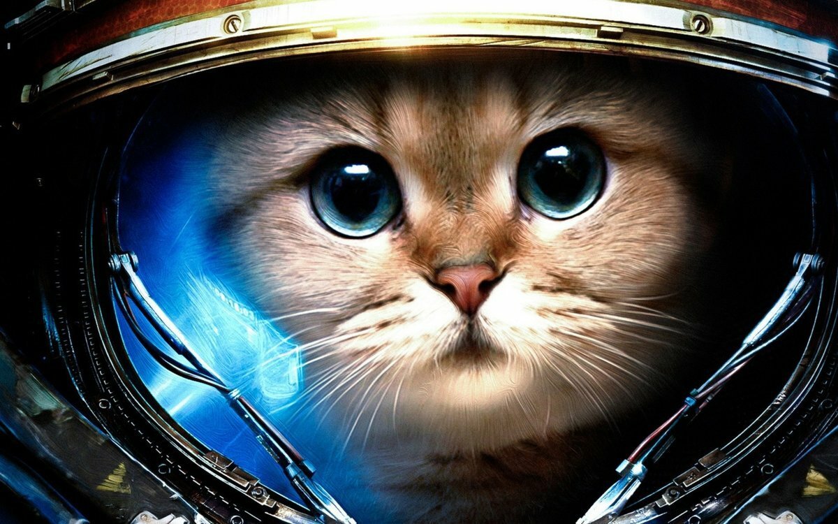 Стимпанк кот