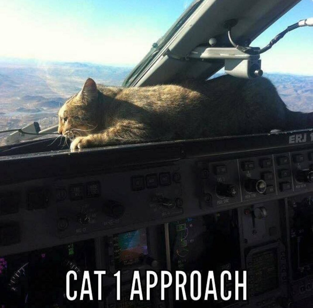 Кот матрос Сергей Иванович