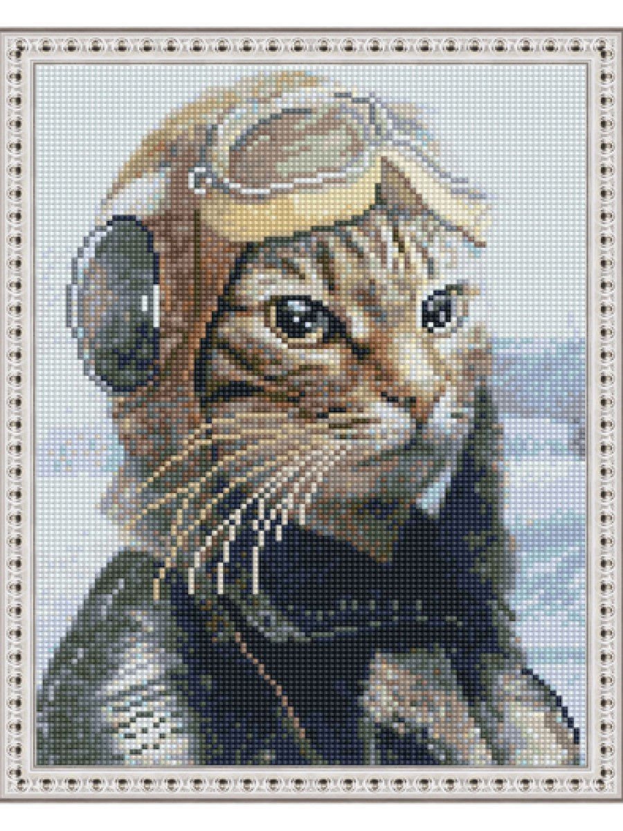 Енот космонавт