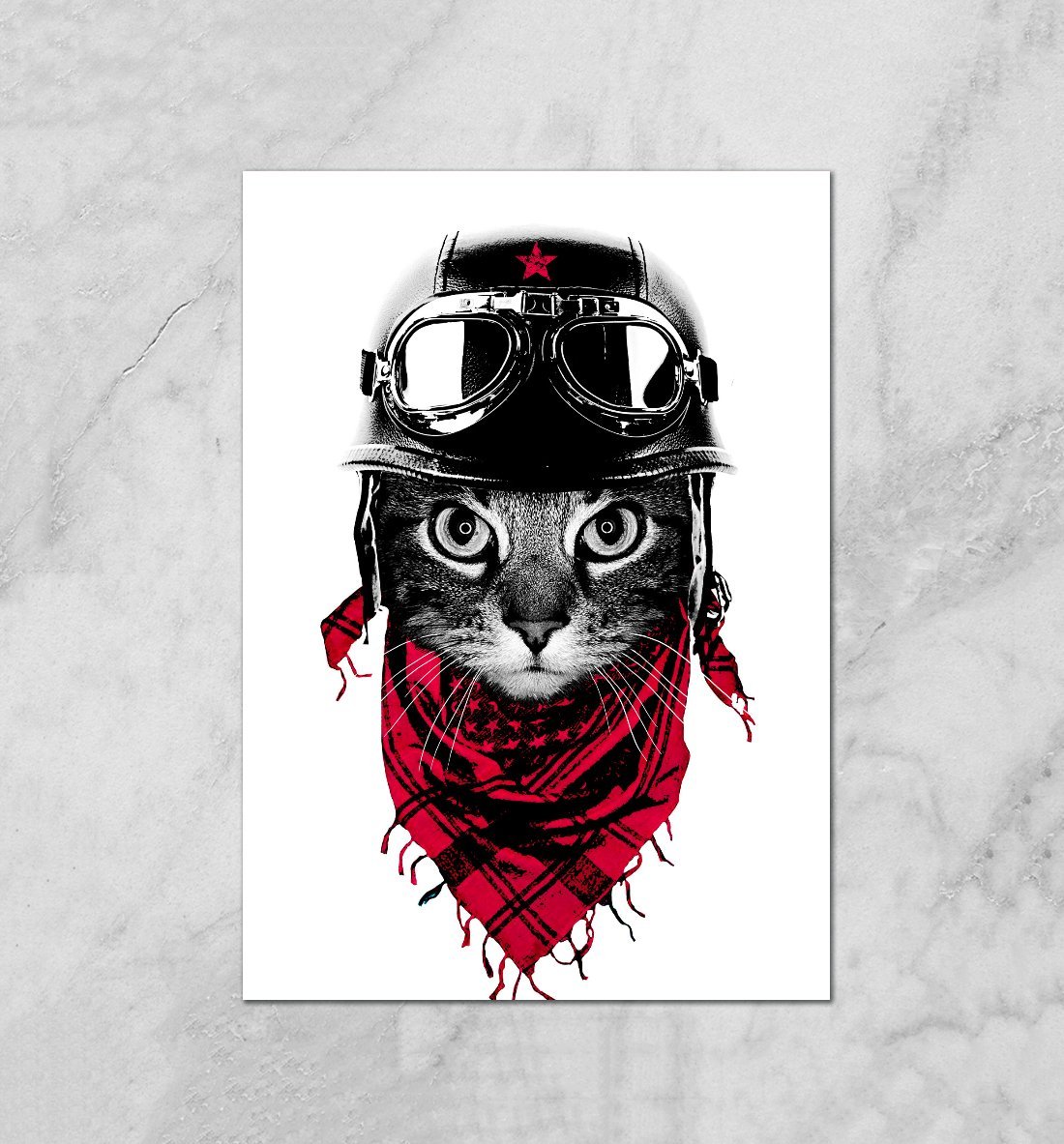 Котик пилот