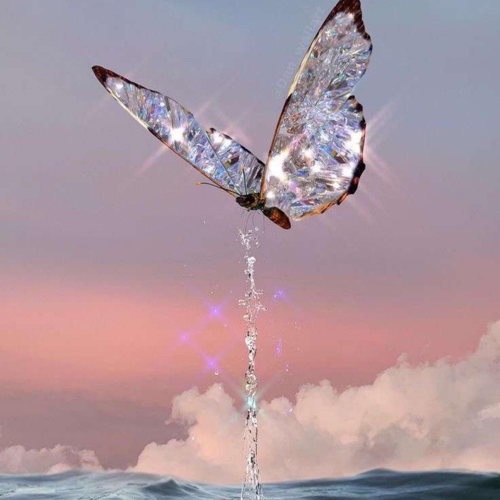 Бабочки Эстетика