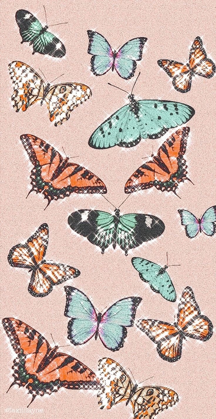 Бабочки инди КИД