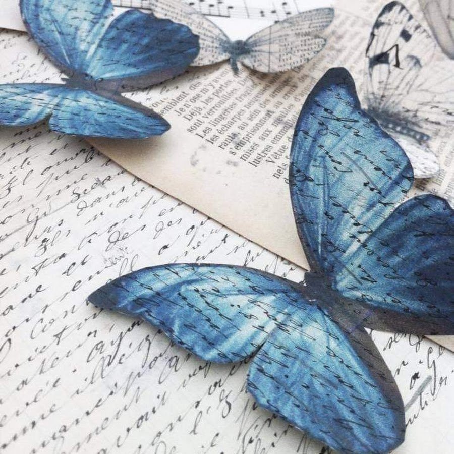 Эстетичные бабочки