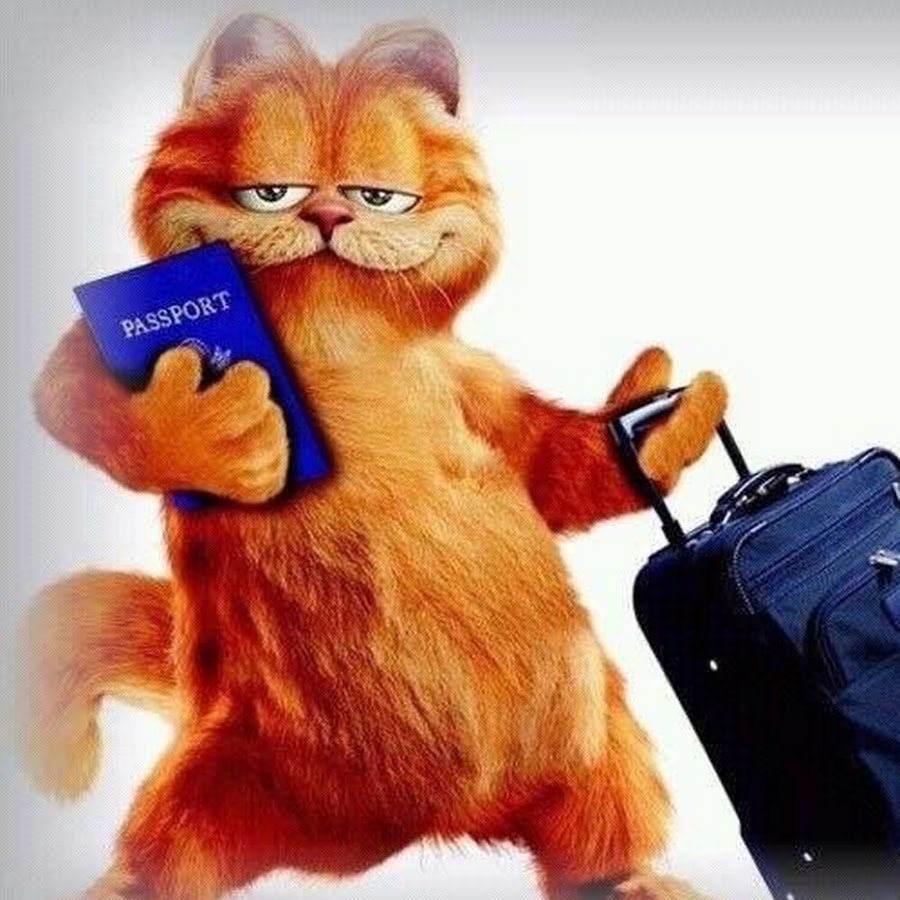 О как тяжёл собачий век и в дождь и в снег и в слякоть