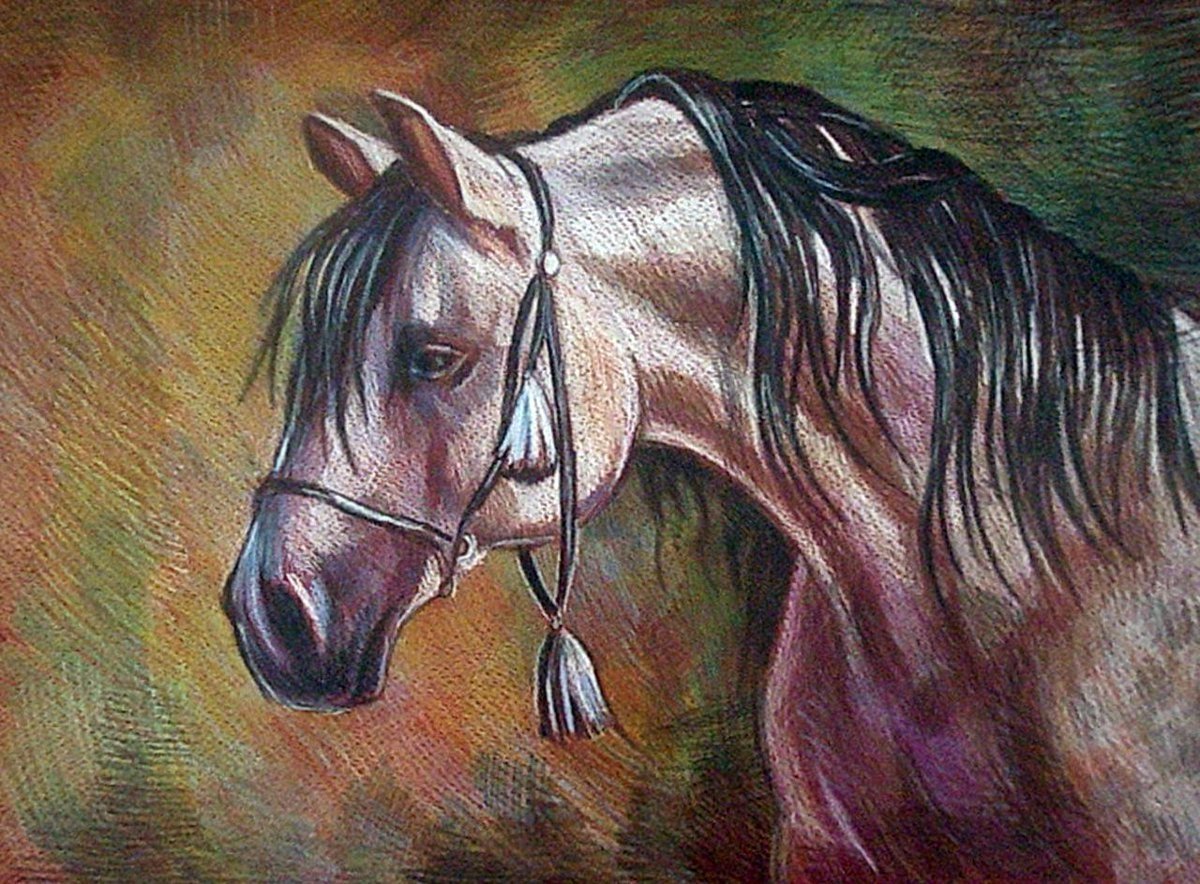 Лошадь цветными карандашами