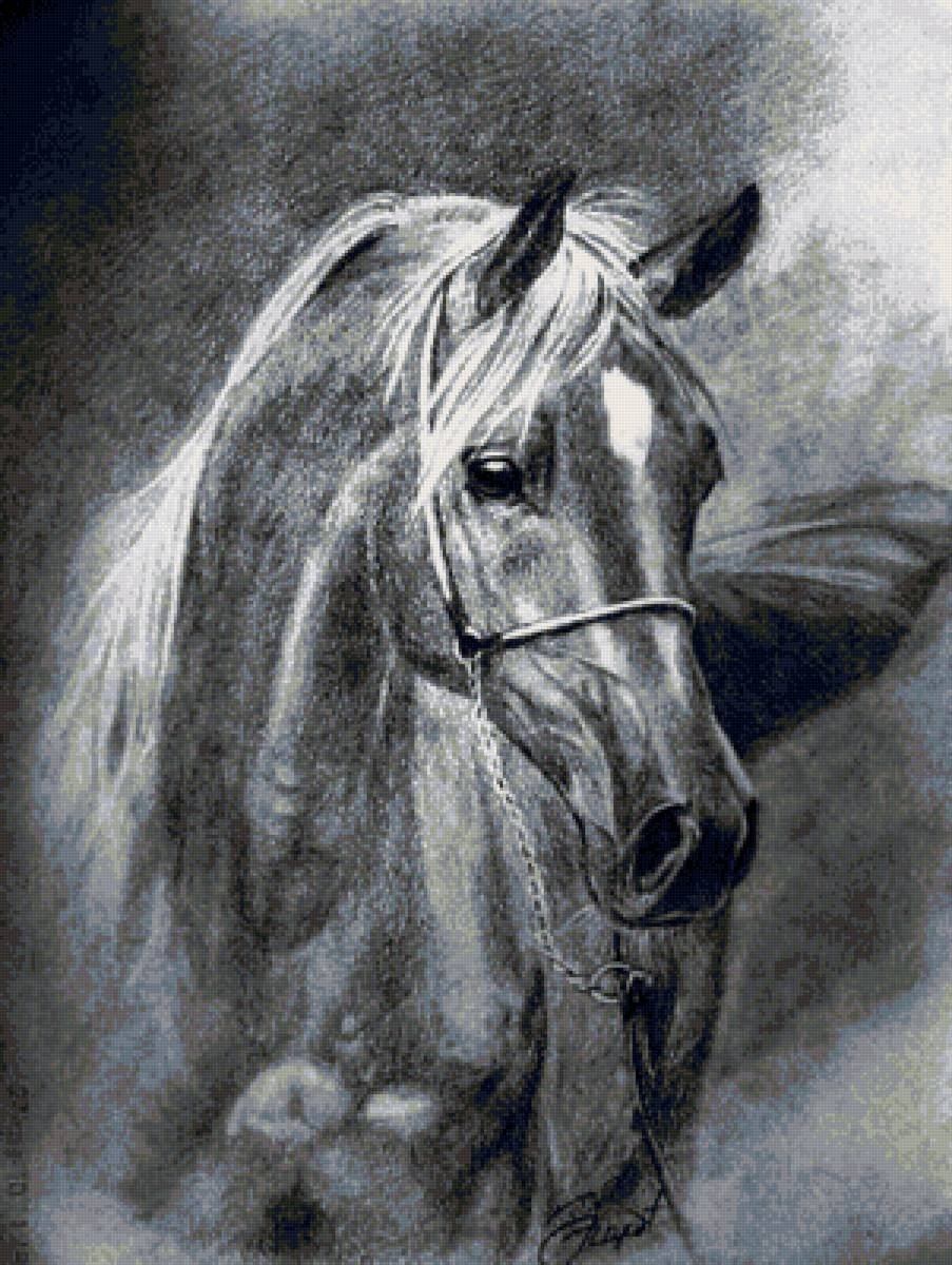 Живопись карандашом