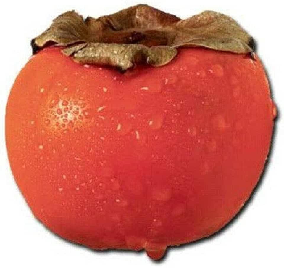 Сладкая хурма