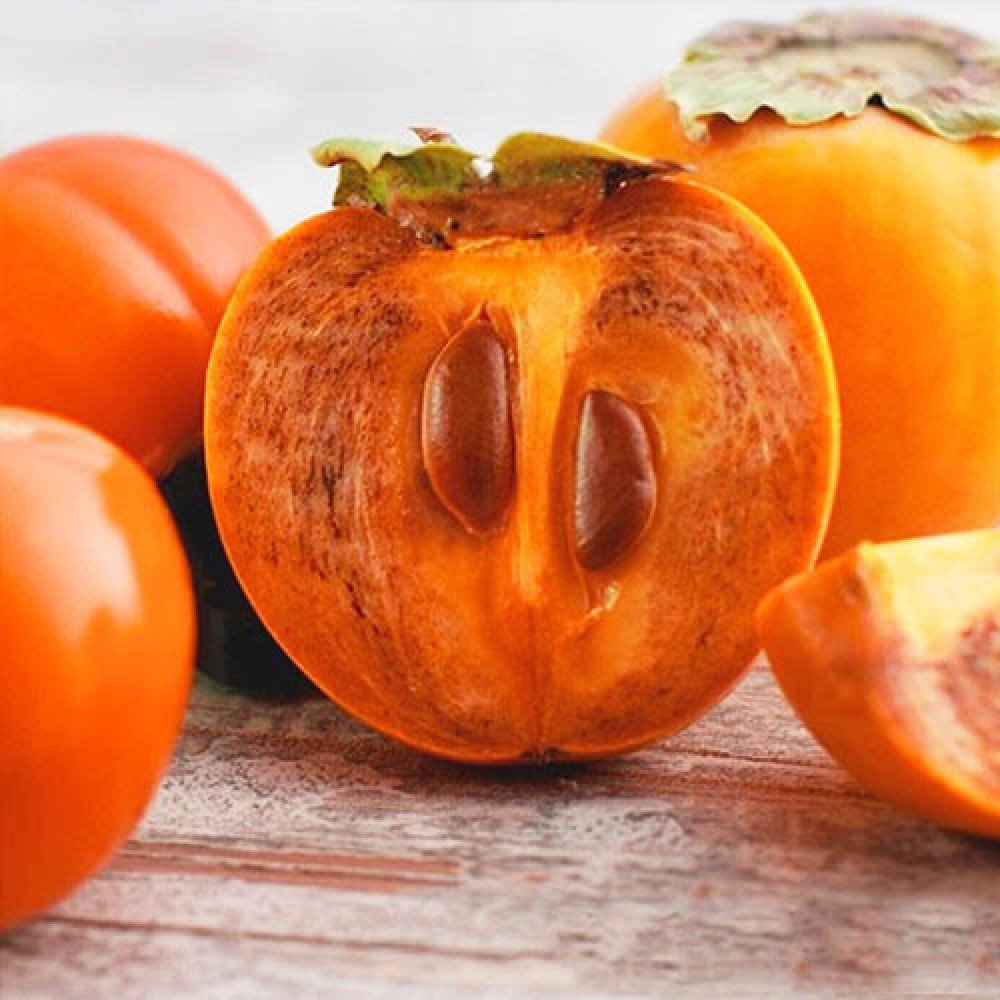 Хурма шоколадная Королек