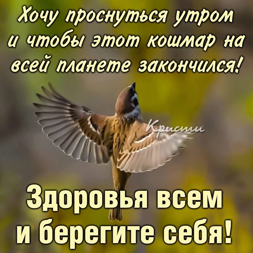 Доброе утро берегите себя и своих близких