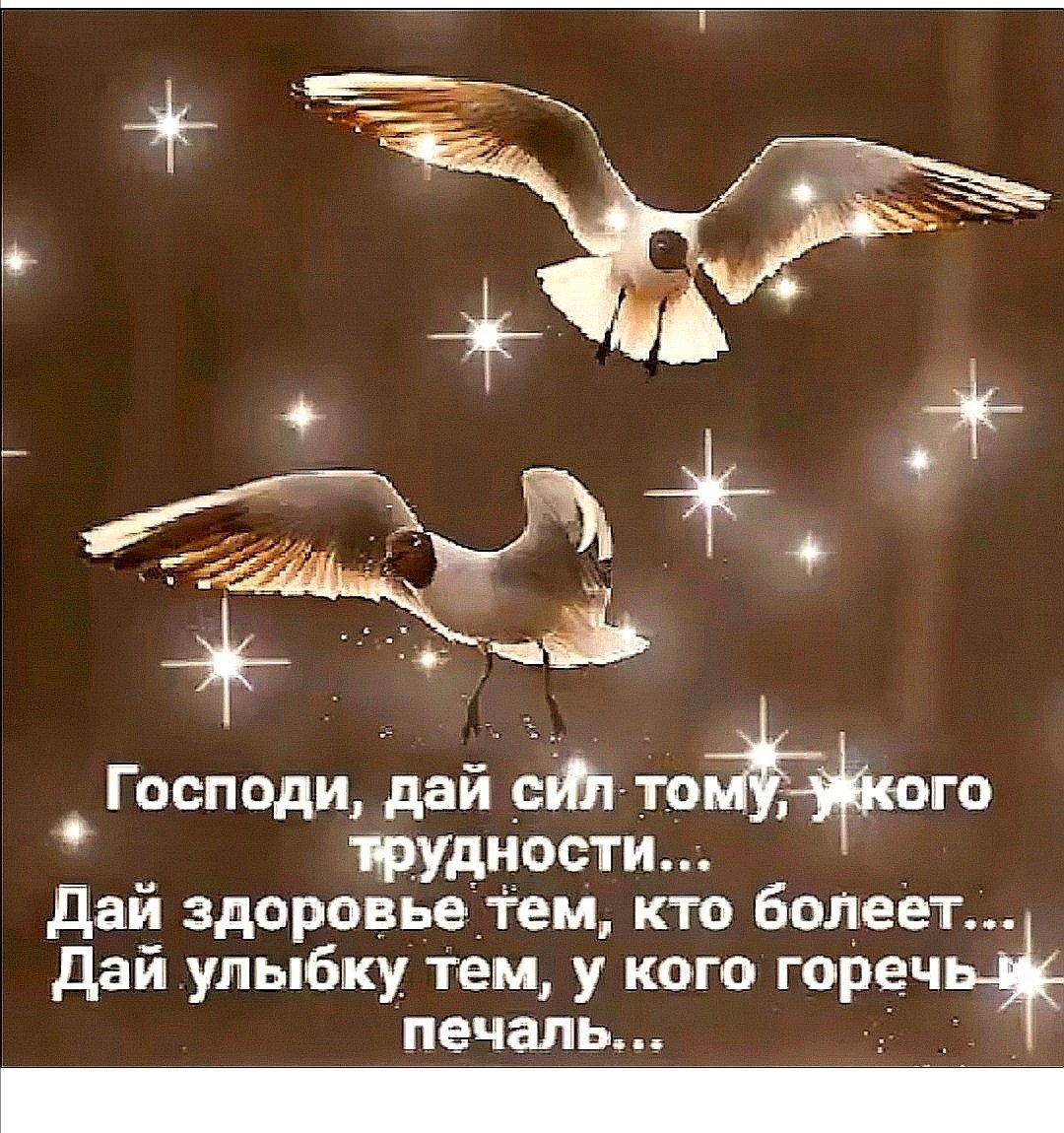 Господи дай мне сил и терпения