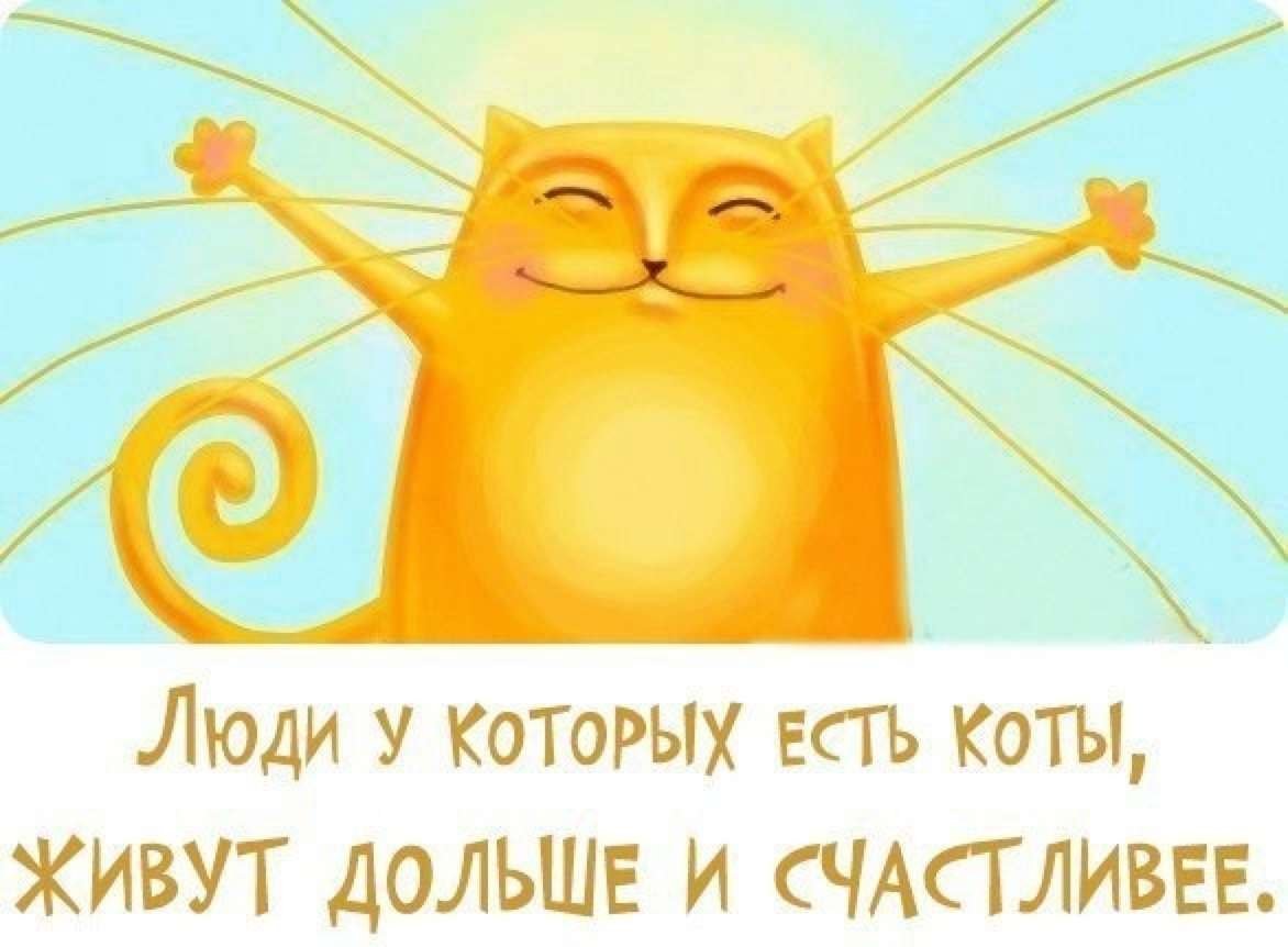 Пиратский свиток