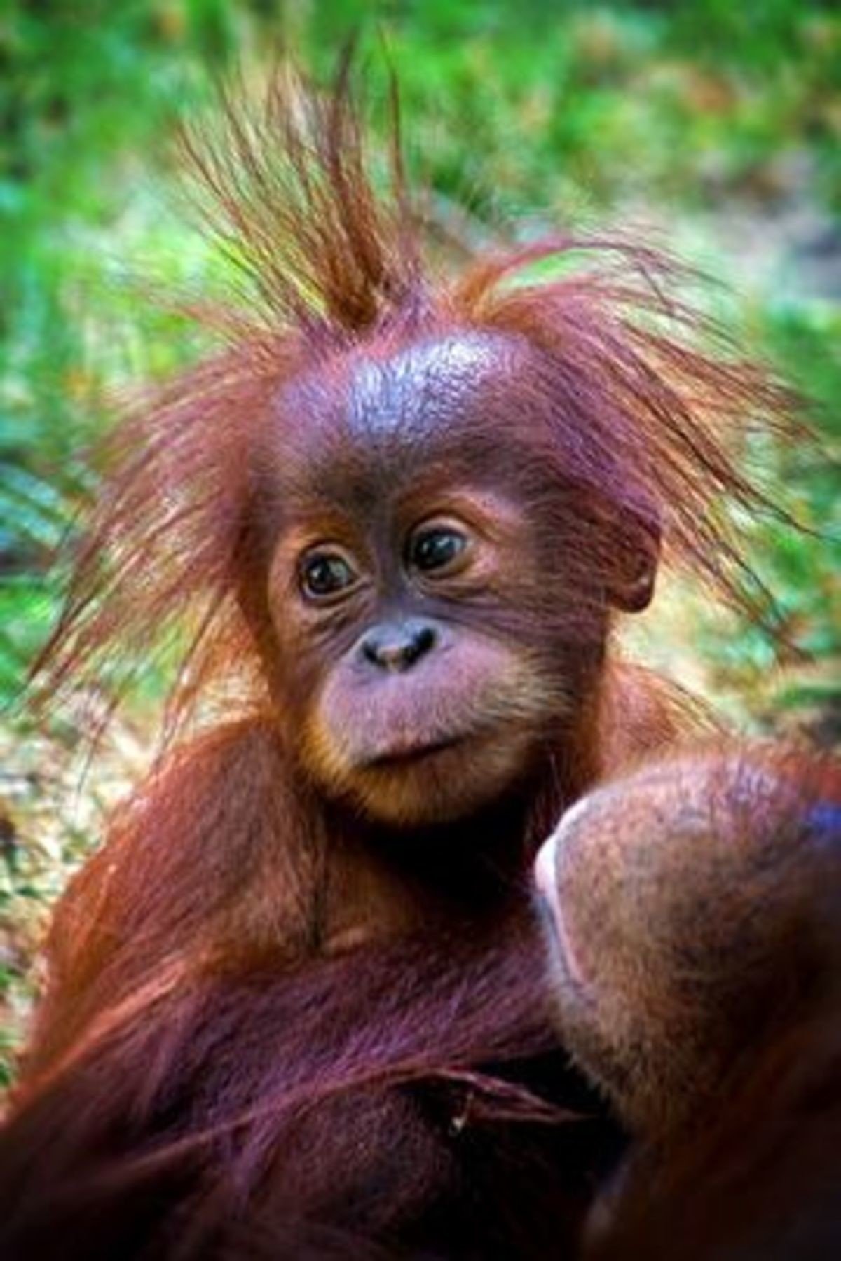 Женщина на корабле к беде