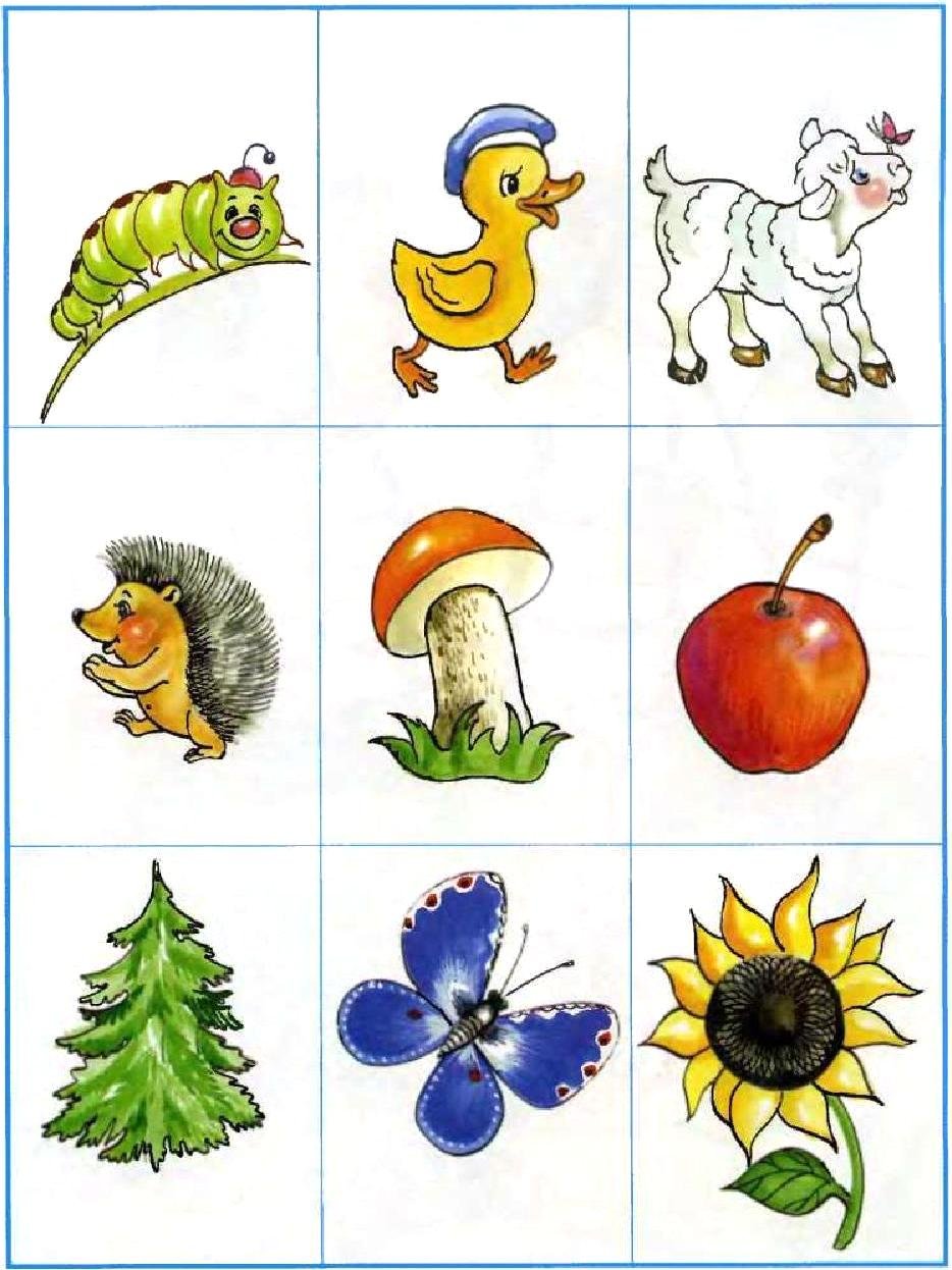 Зрительная память для детей 4-5 лет