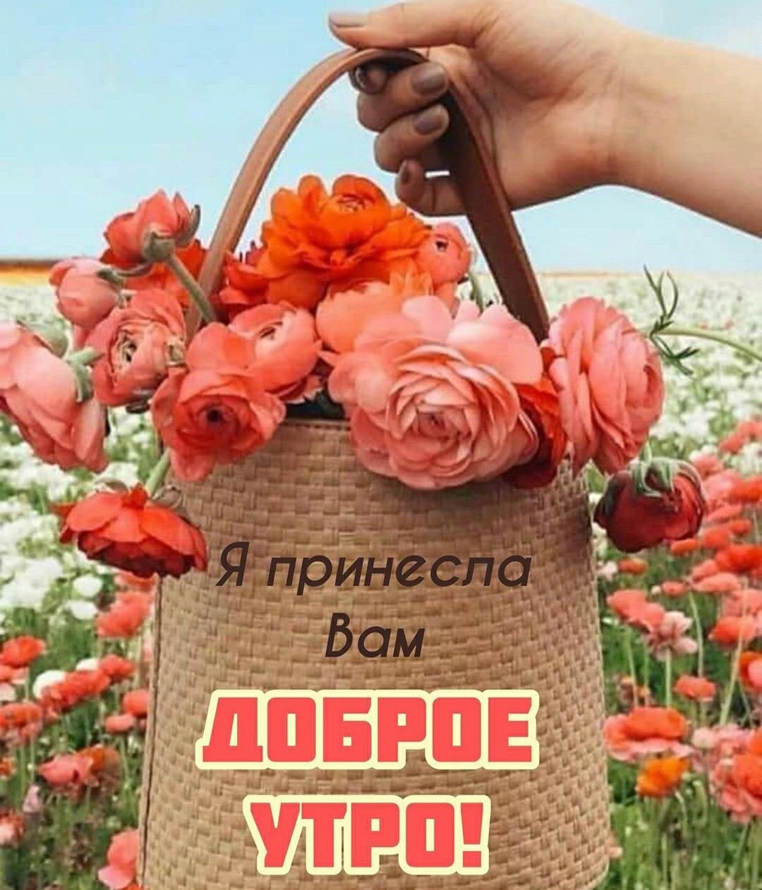 Доброе утро будьте здоровы и счастливы