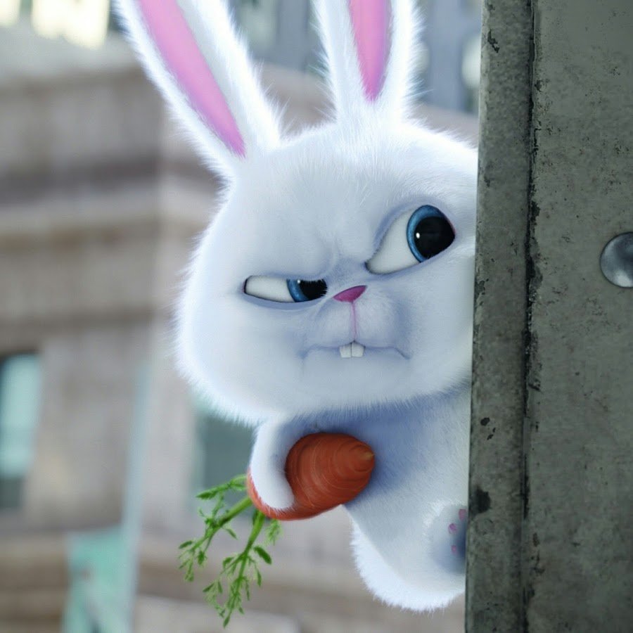 Смешные фразы про зайчика