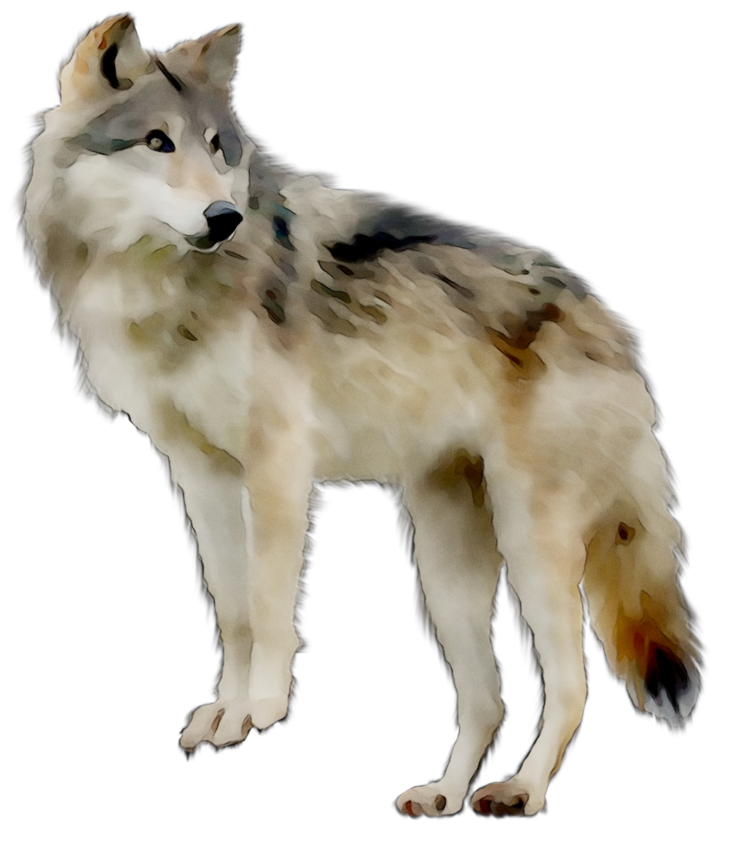 Волк мультяшная на белом фоне