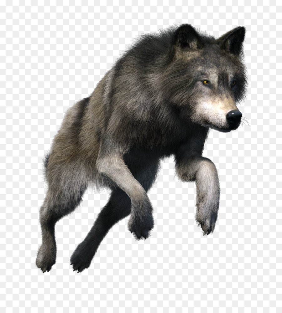 Волк на прозрачном фоне