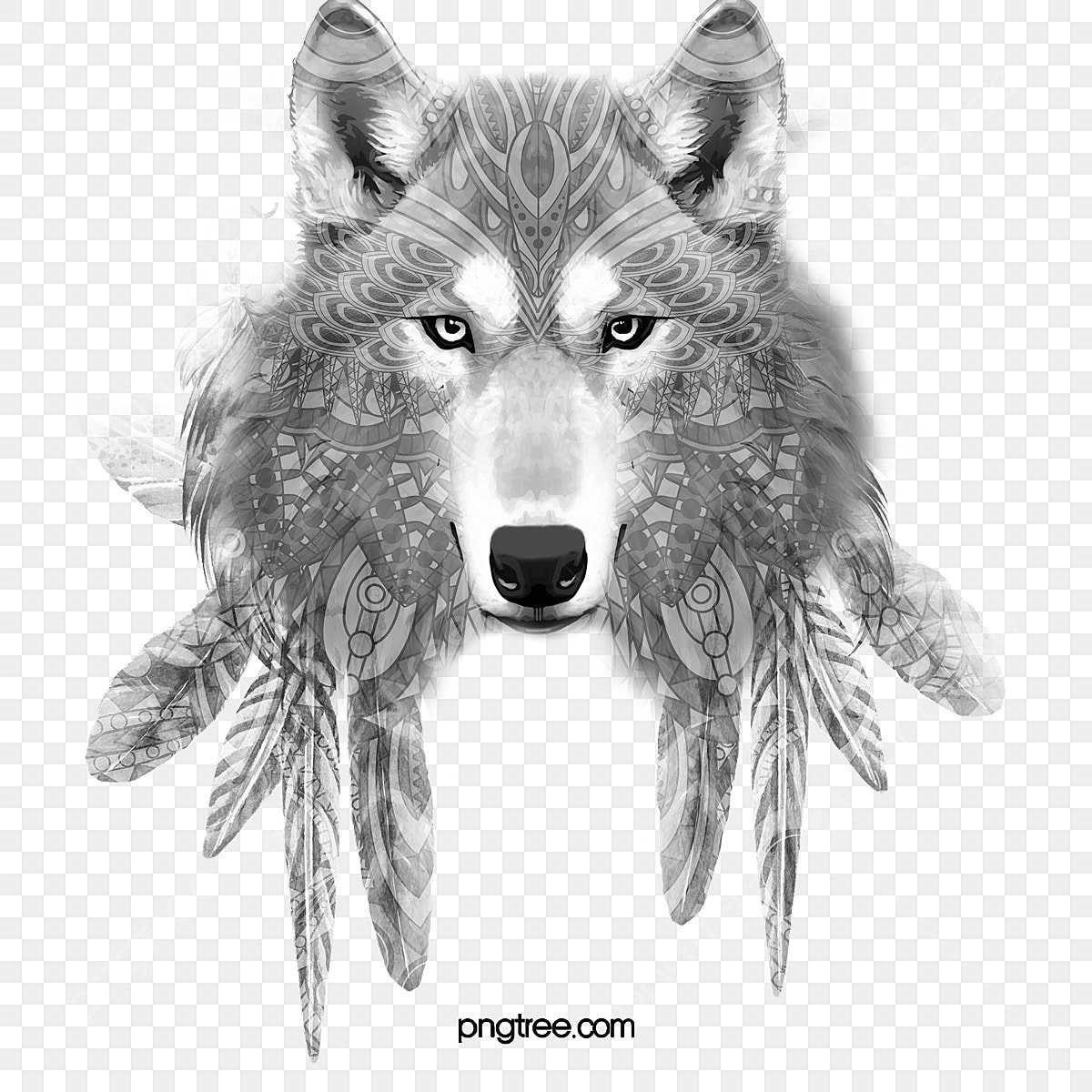 Волк на белом фоне