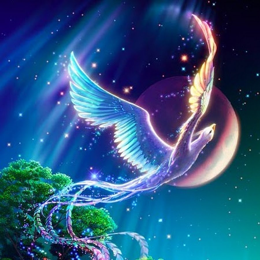 Полет синей птицы