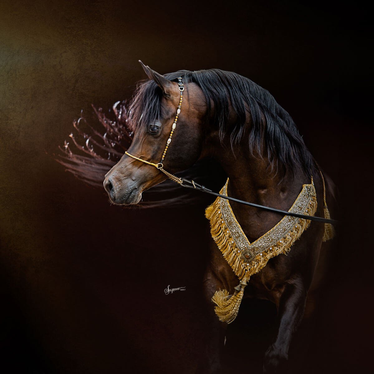 Восточный скакун