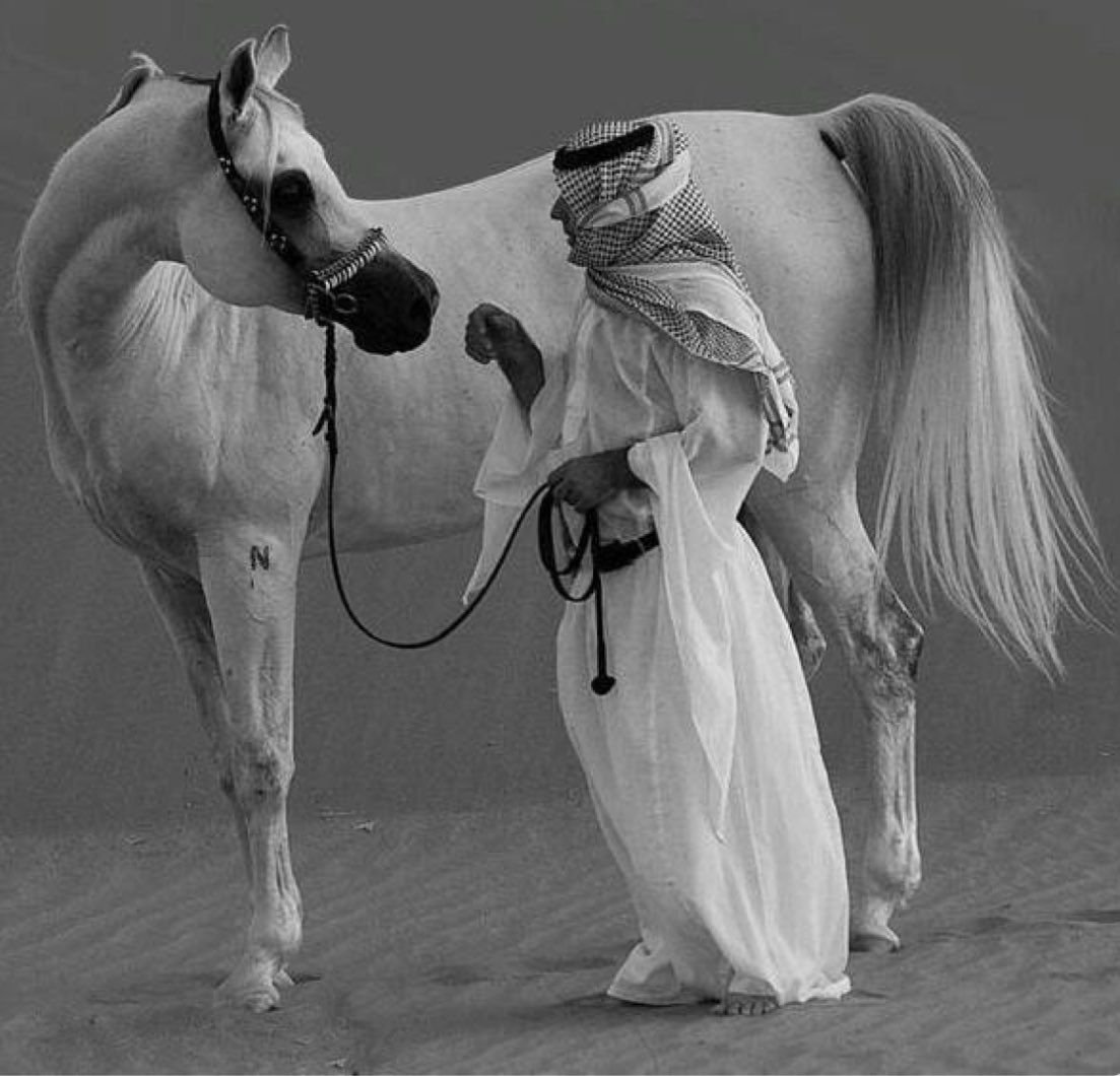 Арабская лошадь и человек