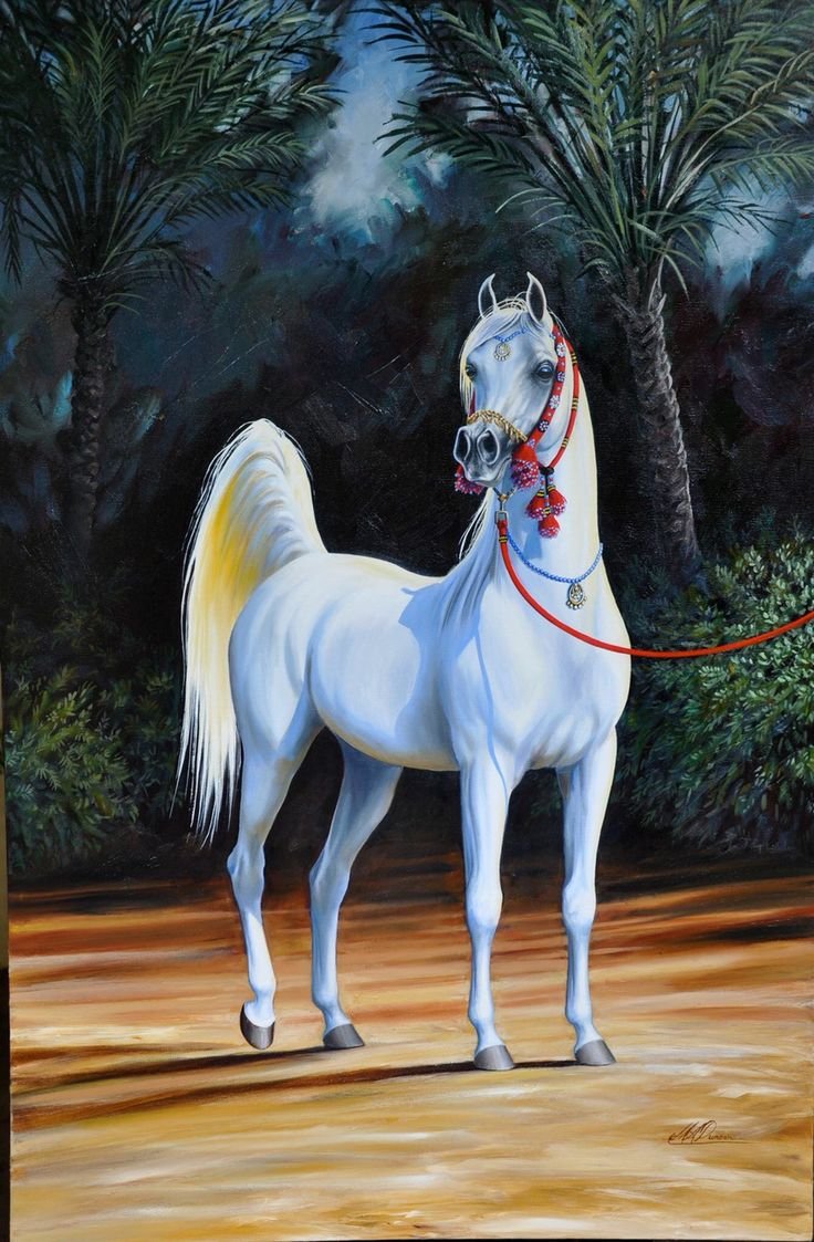 Марвари лошадь арт