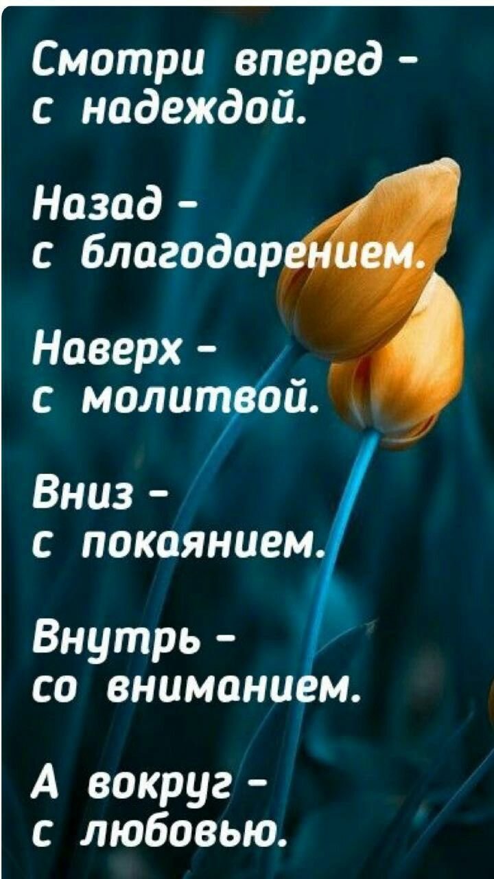 Цитаты для жизни Вдохновляющие